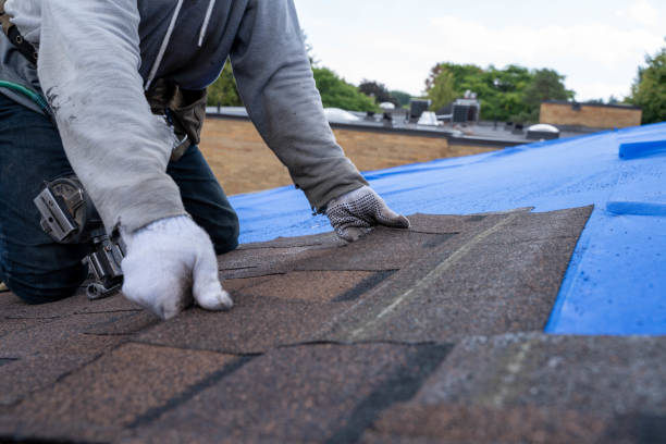 Best Storm Damage Roof Repair  in Hebron, IN