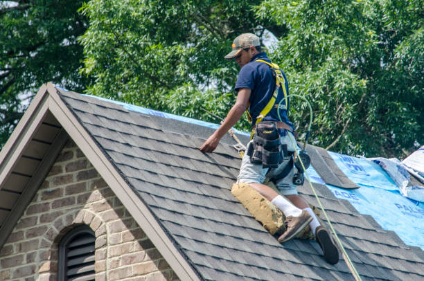 Best Roofing Contractor Near Me  in Hebron, IN